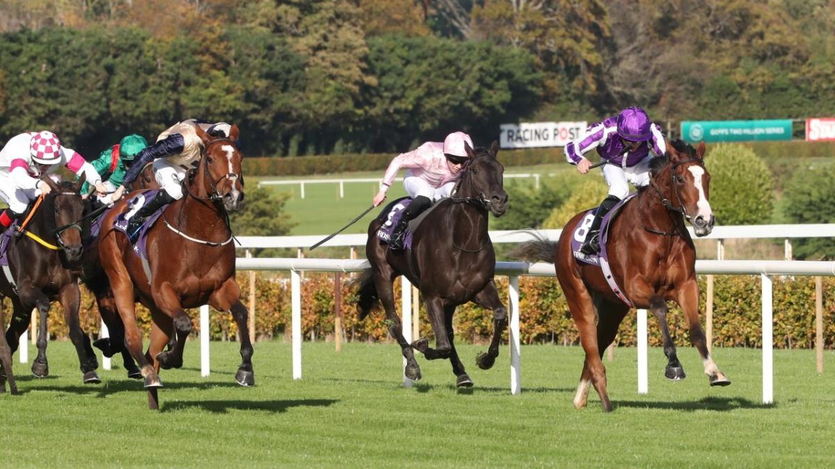 Leopardstown Racecourse